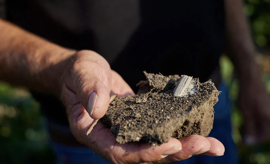 ADM Collaborates With Mars and Royal Canin on Regenerative Agriculture